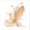 Butterfly Flower by Chris Paschke 14" x 14" Canvas Wall Art (Set of 2)